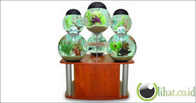 Aquarium Labyrinth Aquarium Labyrinth